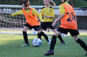 Vitesse Arnhem Soccer / Football Clinics
